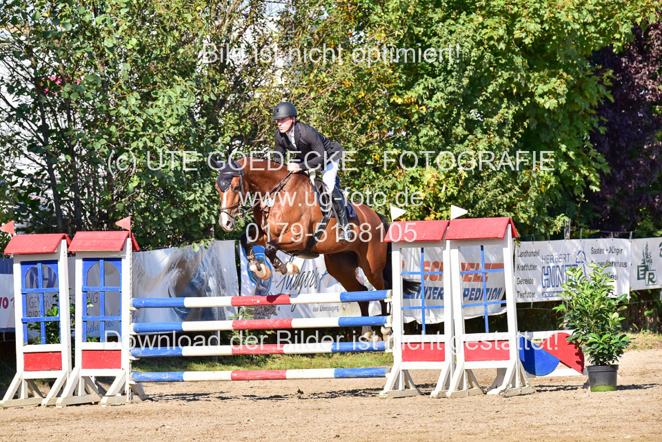 011020---Springpferde-L_048.jpg