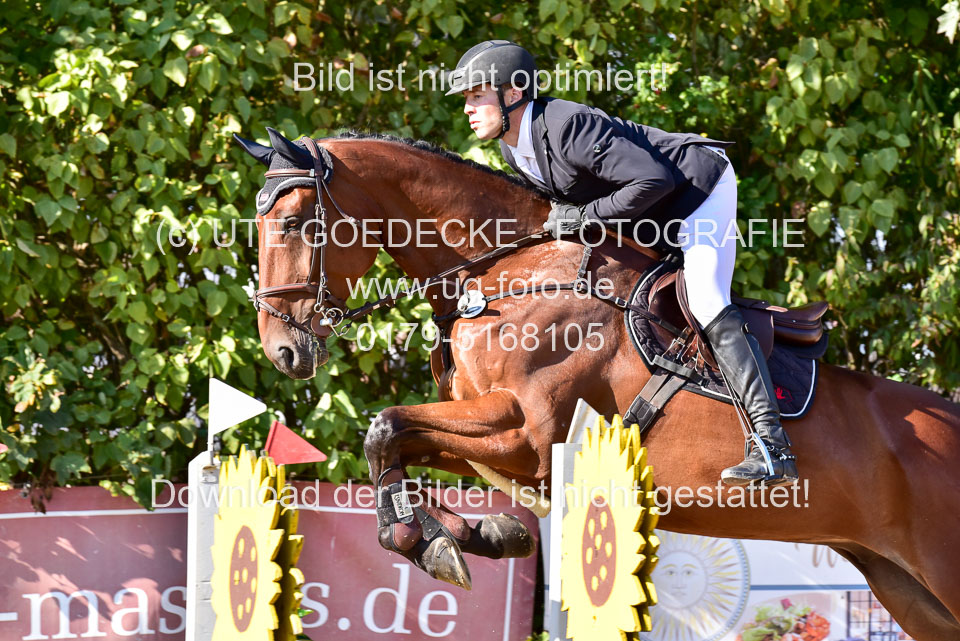 011020---Springpferde-L_056.jpg