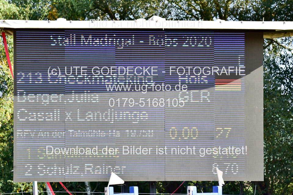 011020---Springpferde-L_058.jpg