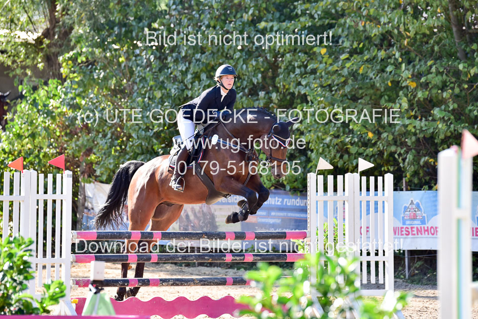 011020---Springpferde-L_059.jpg