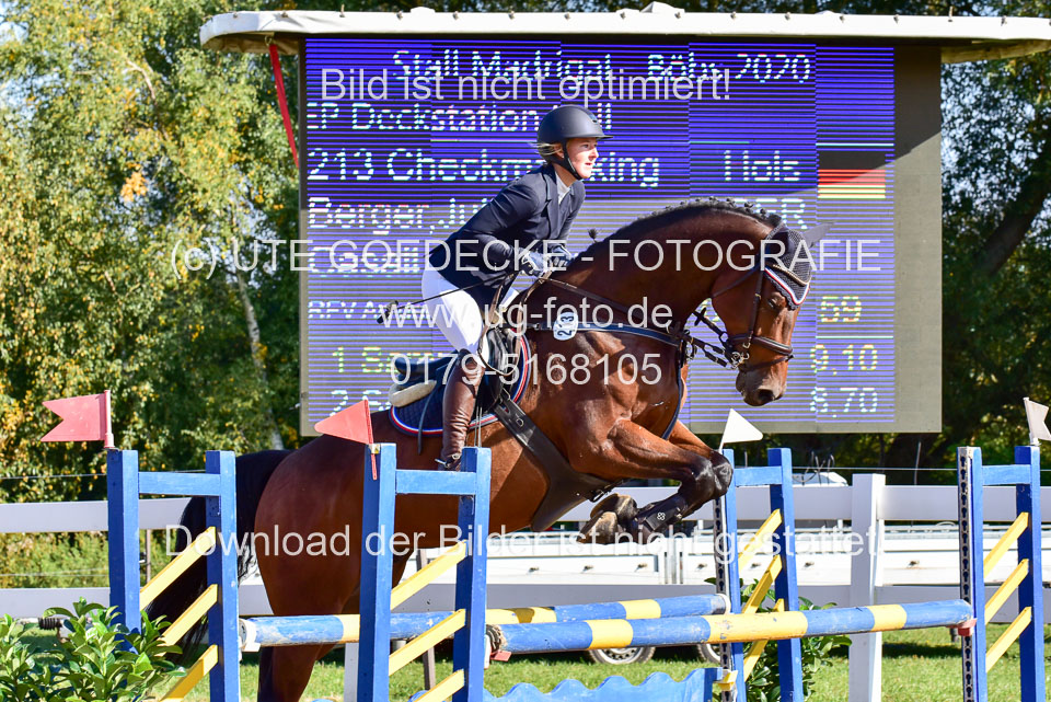 011020---Springpferde-L_061.jpg