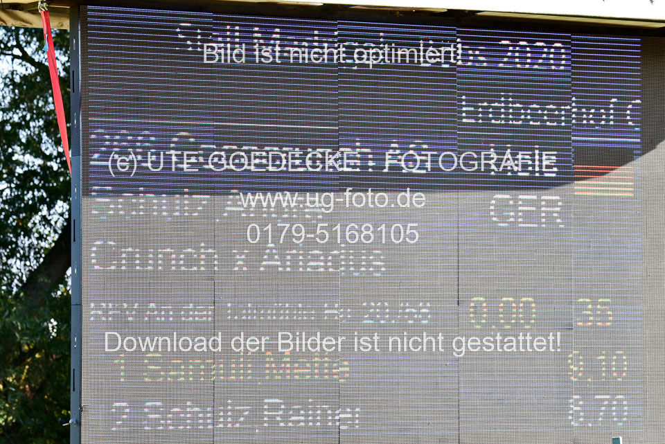 011020---Springpferde-L_062.jpg