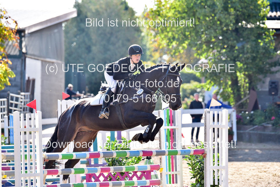 011020---Springpferde-L_067.jpg