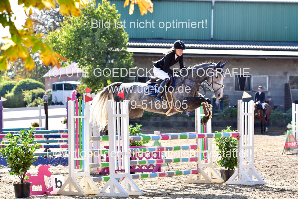 011020---Springpferde-L_073.jpg