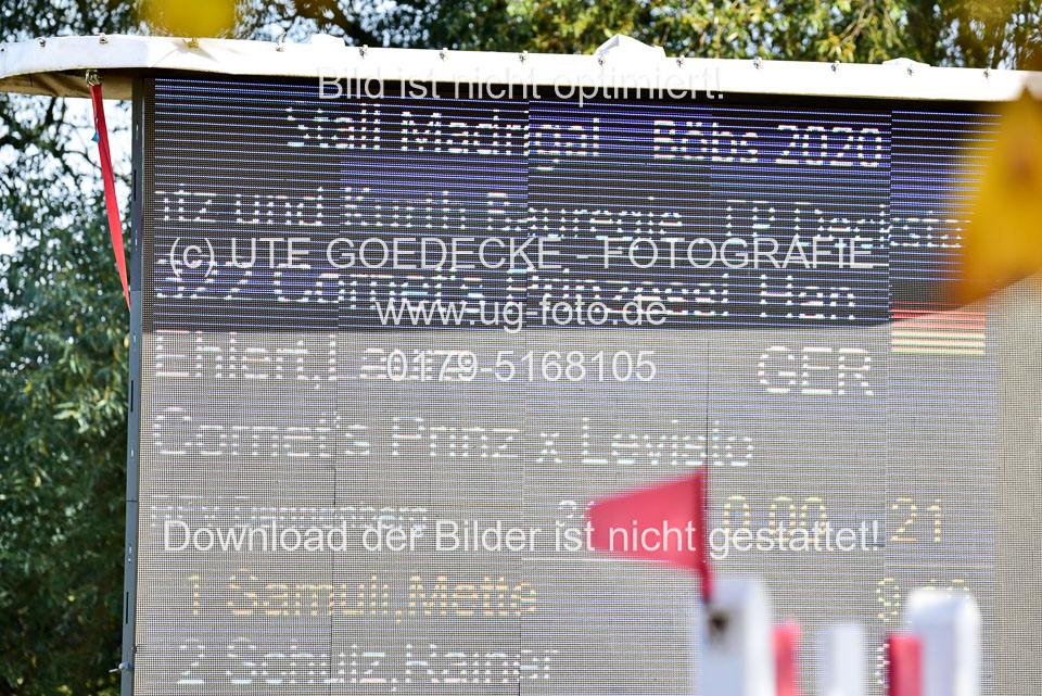 011020---Springpferde-L_074.jpg