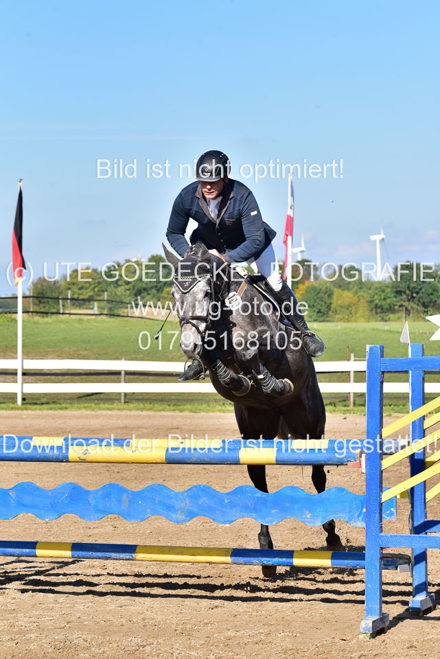 011020---Springpferde-L_087.jpg