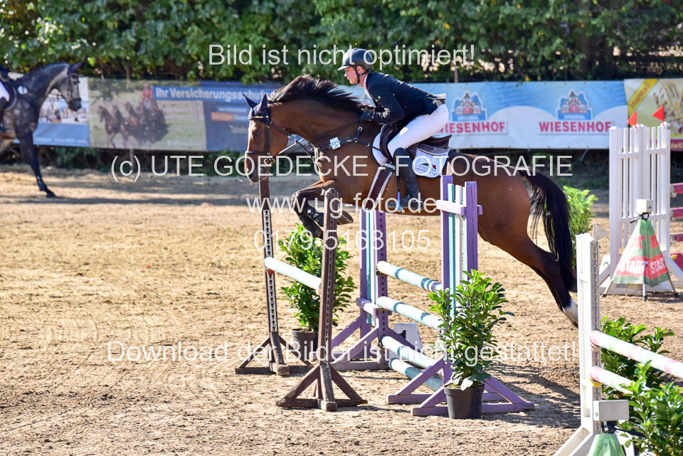 011020---Springpferde-L_089.jpg