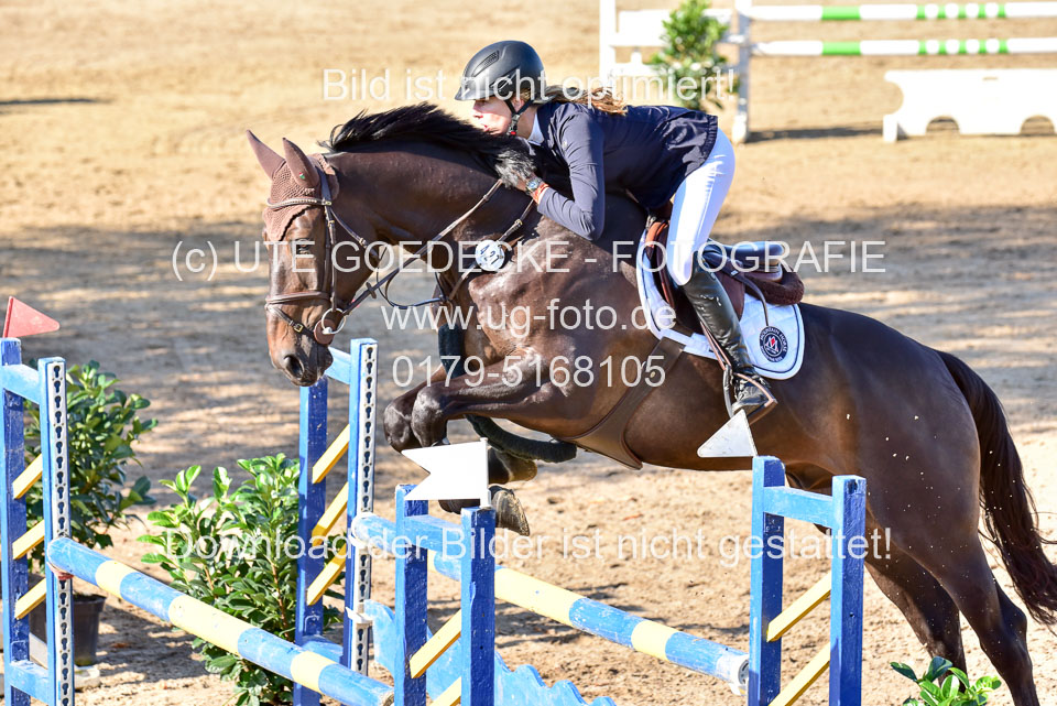 011020---Springpferde-L_096.jpg