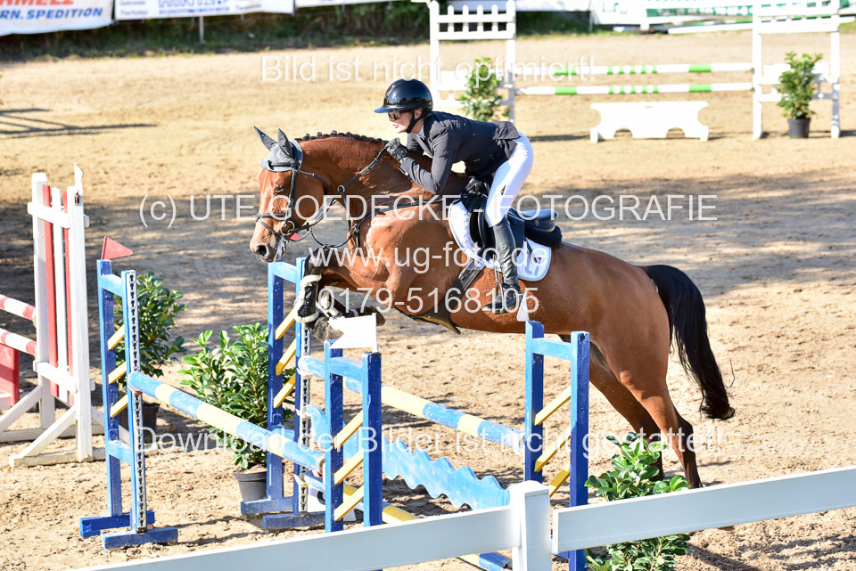 011020---Springpferde-L_103.jpg