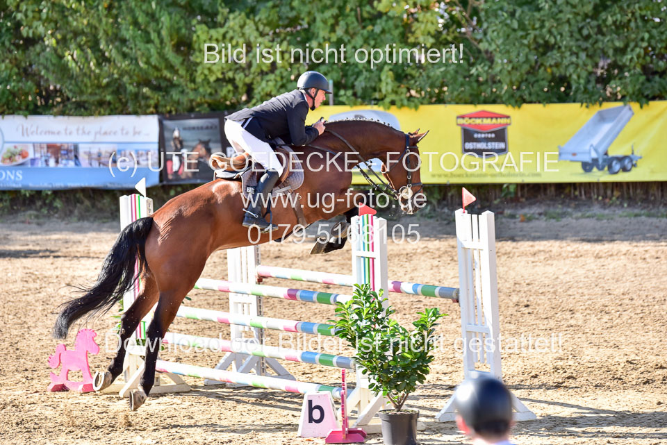 011020---Springpferde-L_120.jpg