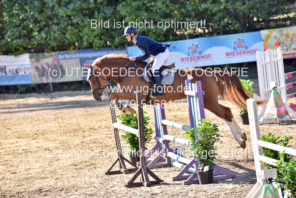 011020---Springpferde-L_122.jpg