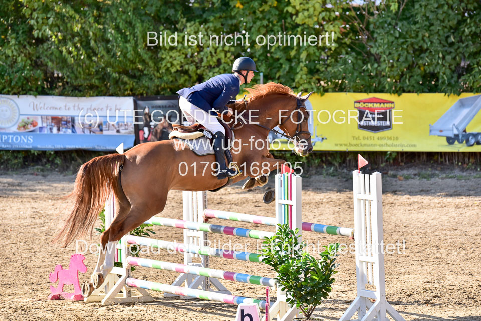 011020---Springpferde-L_123.jpg