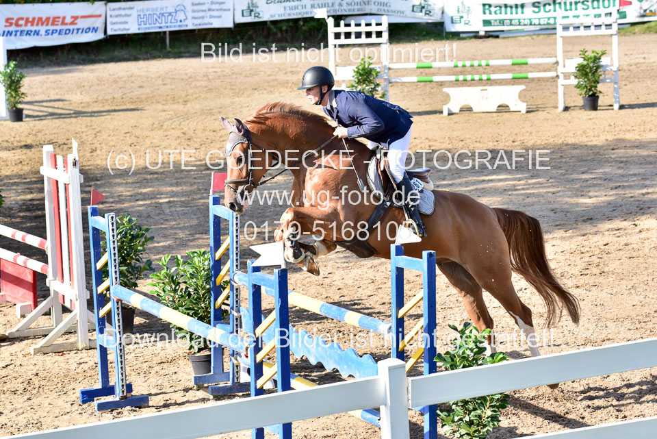 011020---Springpferde-L_124.jpg