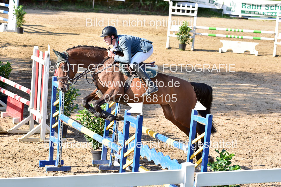 011020---Springpferde-L_125.jpg