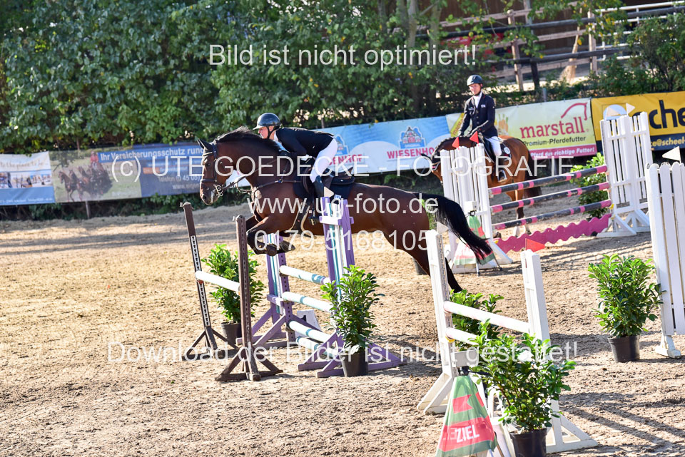 011020---Springpferde-L_126.jpg