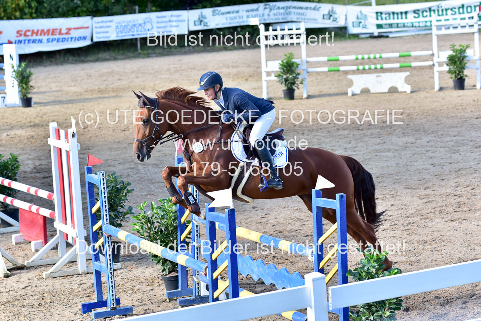 011020---Springpferde-L_131.jpg