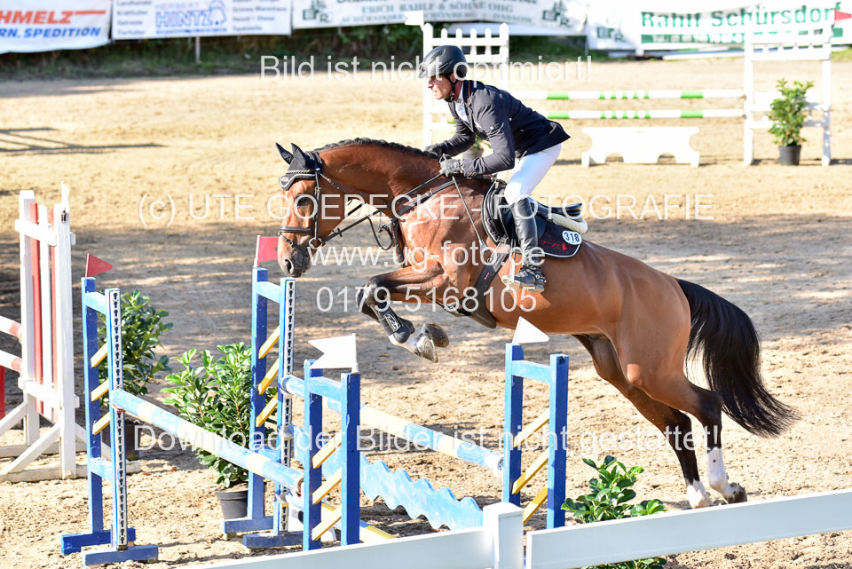 011020---Springpferde-L_133.jpg