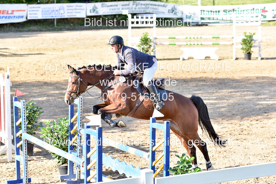 011020---Springpferde-L_135.jpg