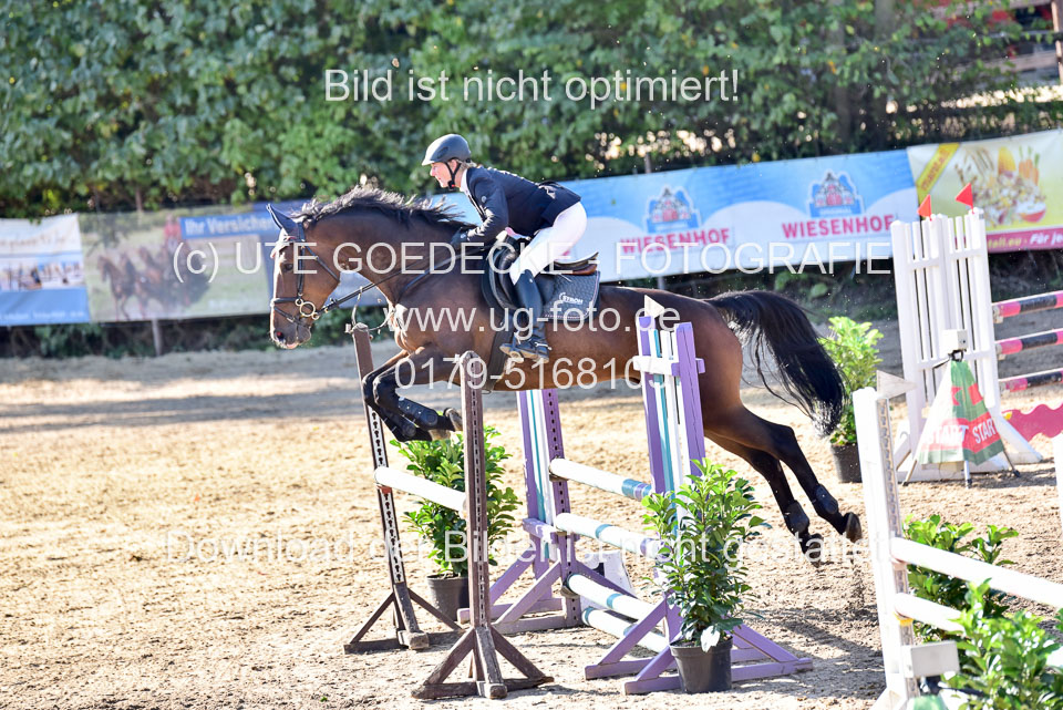 011020---Springpferde-L_136.jpg