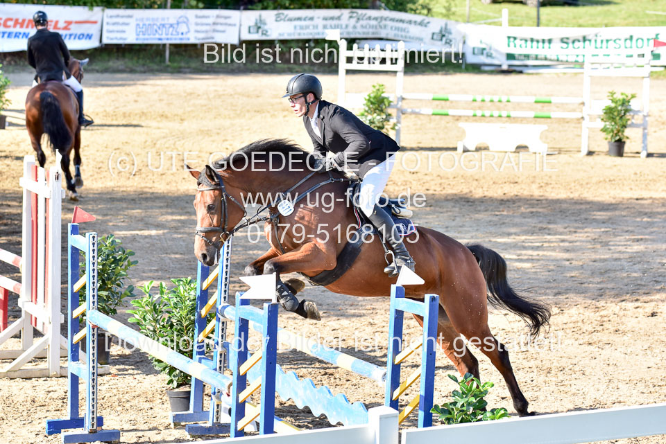 011020---Springpferde-L_139.jpg
