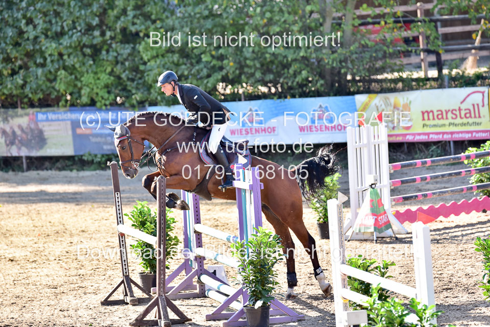 011020---Springpferde-L_140.jpg