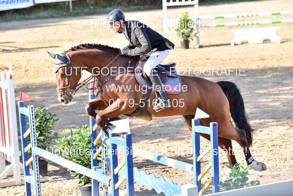 011020---Springpferde-L_143.jpg