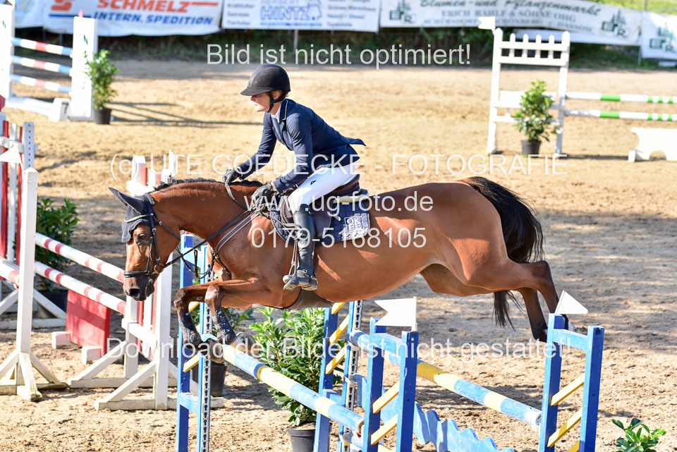 011020---Springpferde-L_148.jpg