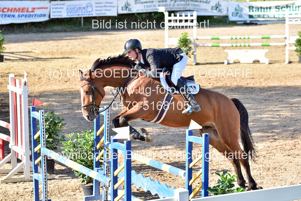 011020---Springpferde-L_151.jpg