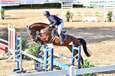 011020---Springpferde-L_105.jpg