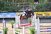 011020---Springpferde-L_107.jpg