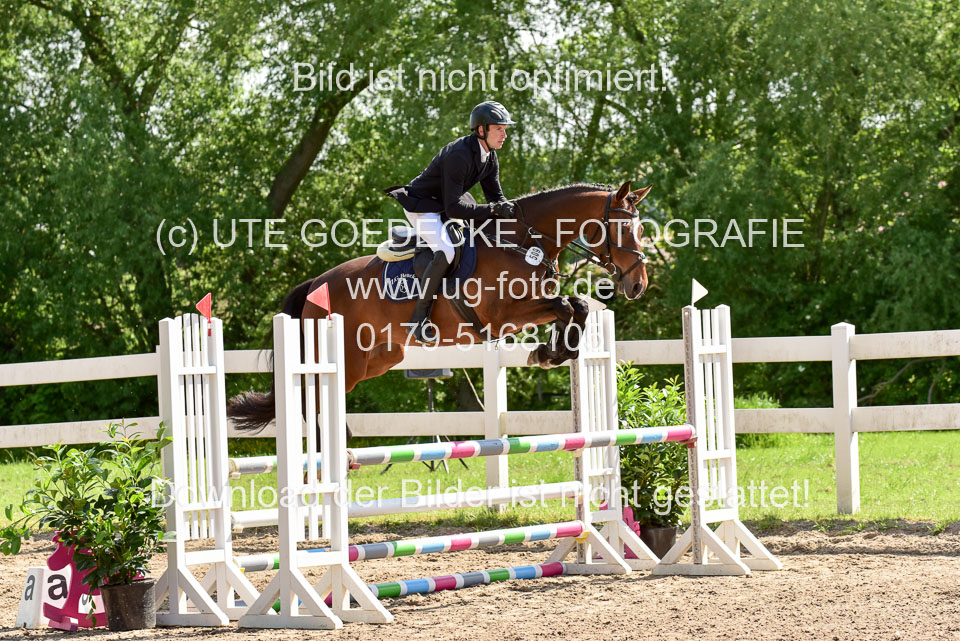 260520---Springpferde-A--_003.jpg