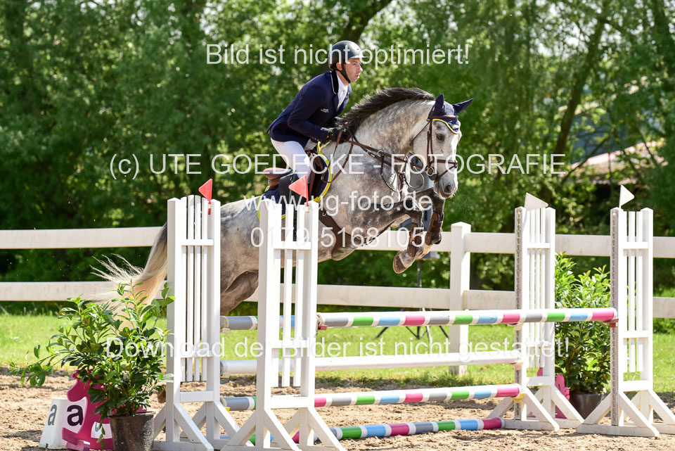 260520---Springpferde-A--_004.jpg
