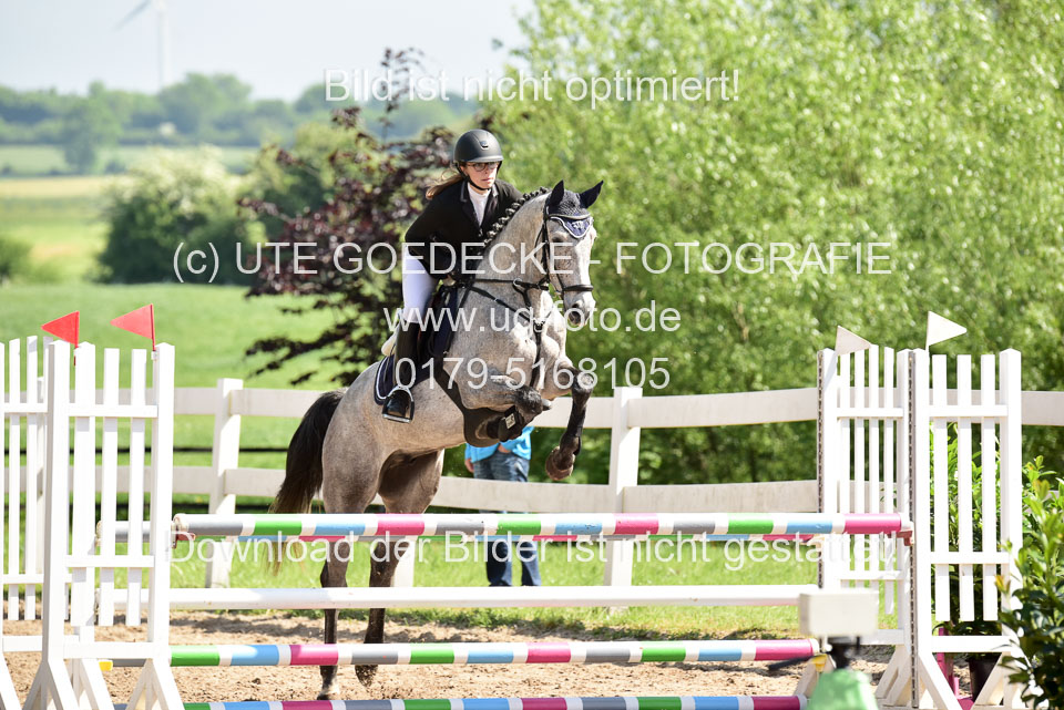 260520---Springpferde-A--_006.jpg