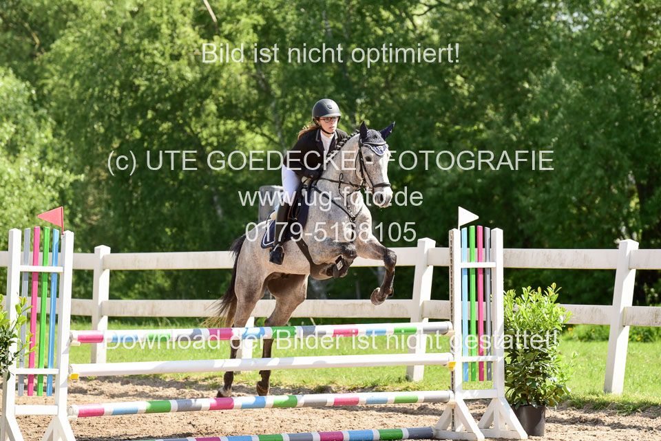 260520---Springpferde-A--_007.jpg