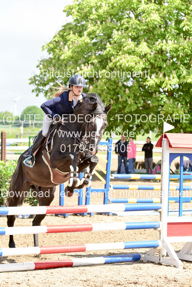 260520---Springpferde-A--_008.jpg