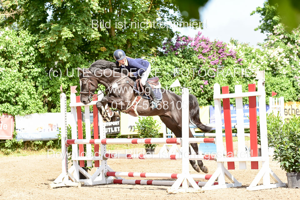 260520---Springpferde-A--_009.jpg
