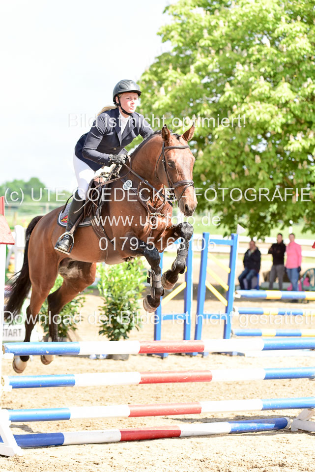 260520---Springpferde-A--_011.jpg