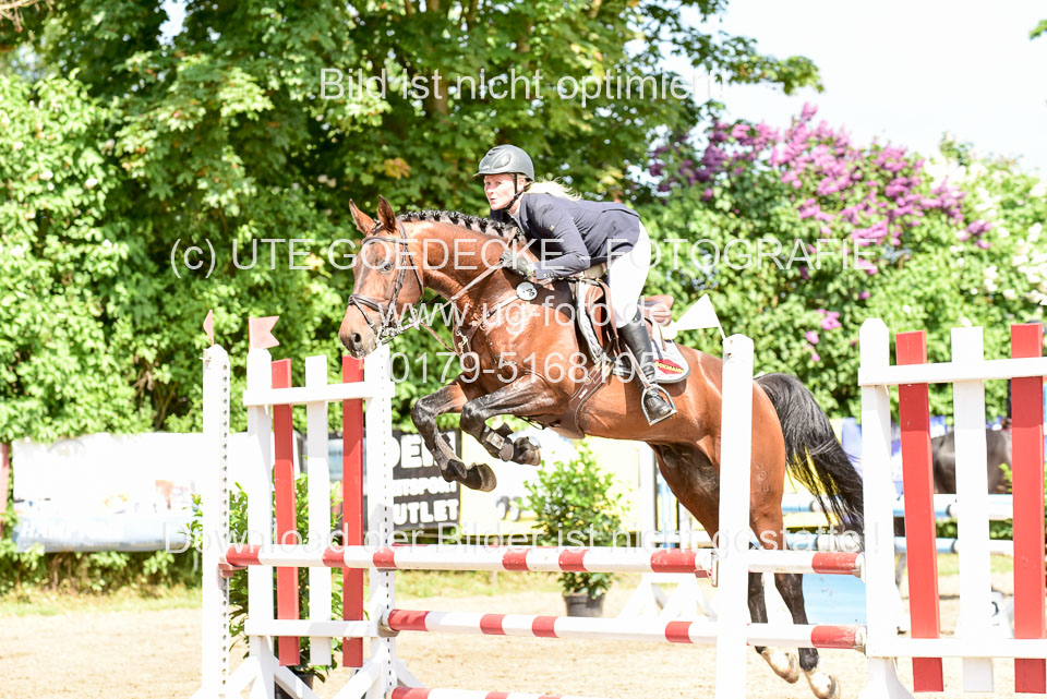 260520---Springpferde-A--_012.jpg