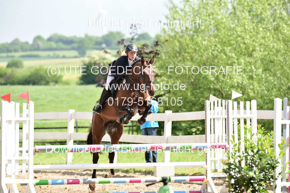 260520---Springpferde-A--_013.jpg