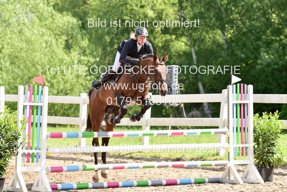 260520---Springpferde-A--_014.jpg