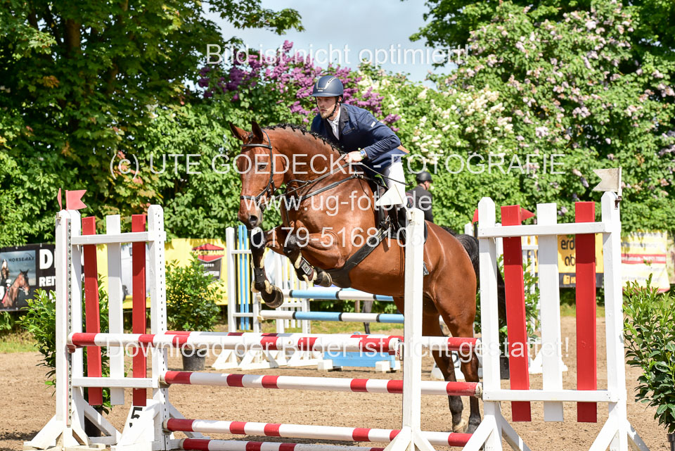 260520---Springpferde-A--_016.jpg