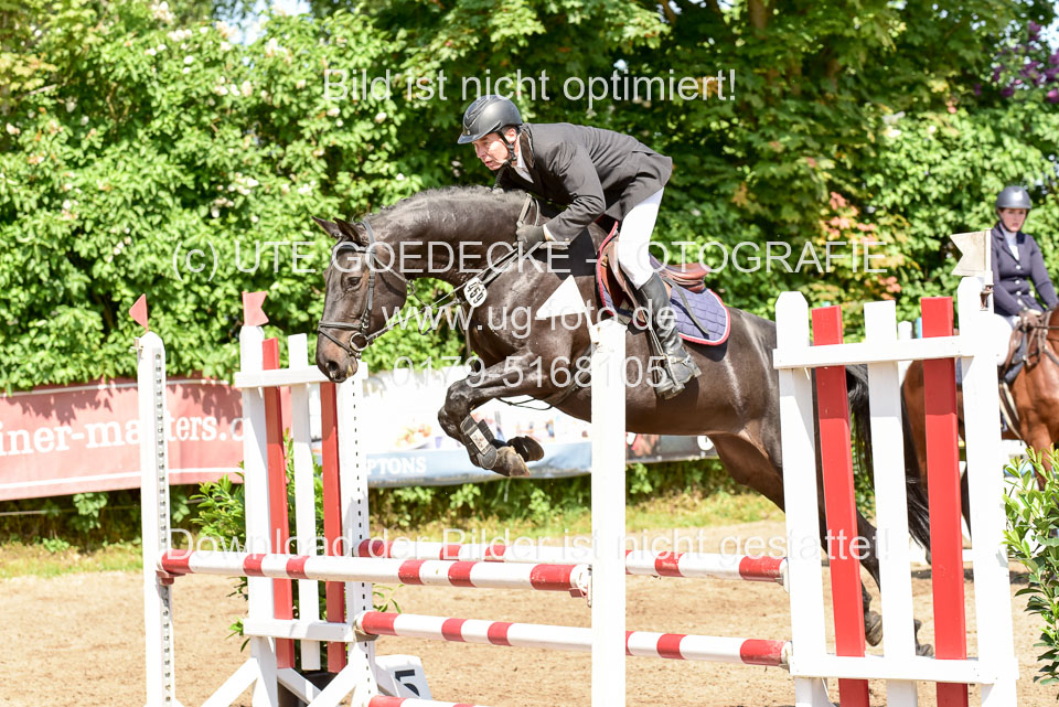 260520---Springpferde-A--_018.jpg