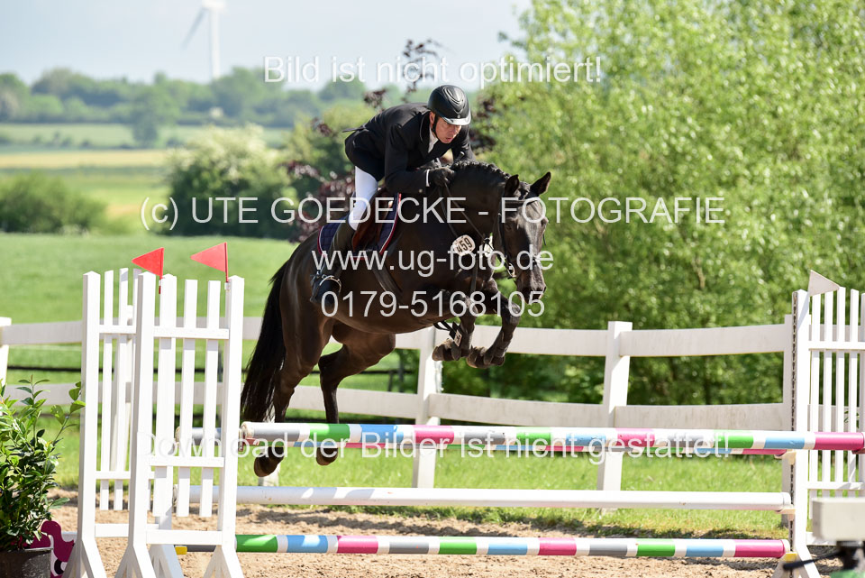 260520---Springpferde-A--_019.jpg