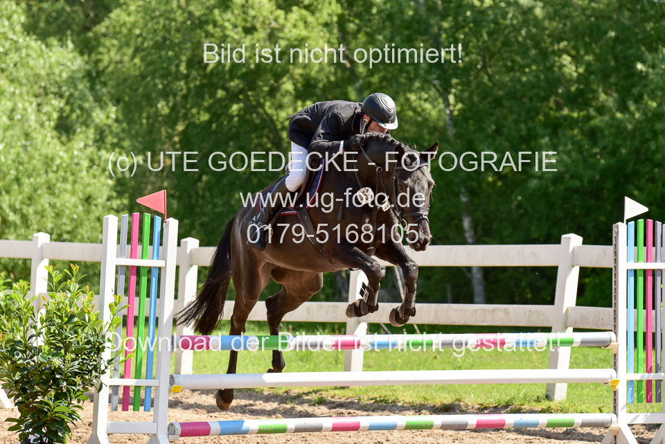 260520---Springpferde-A--_020.jpg