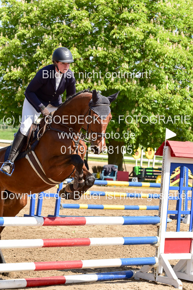 260520---Springpferde-A--_021.jpg