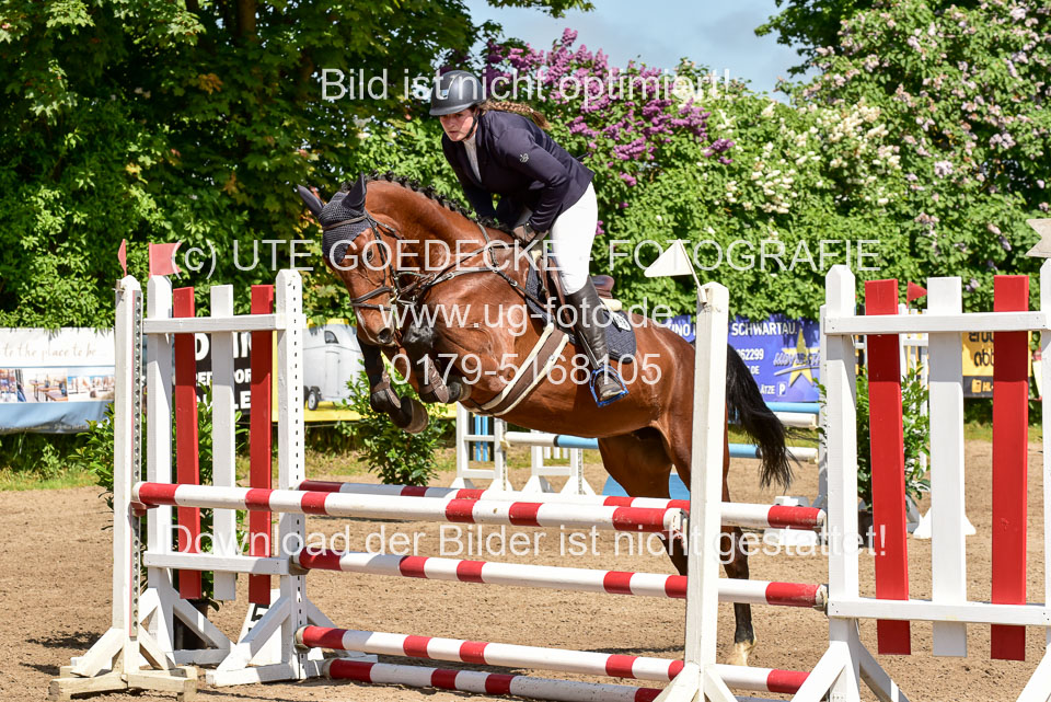 260520---Springpferde-A--_022.jpg