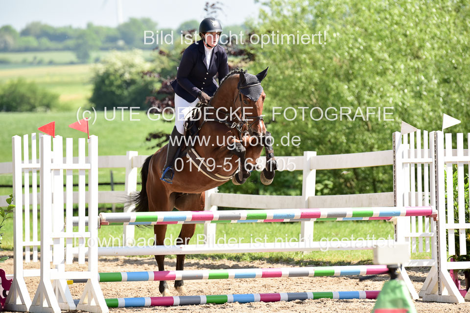 260520---Springpferde-A--_023.jpg