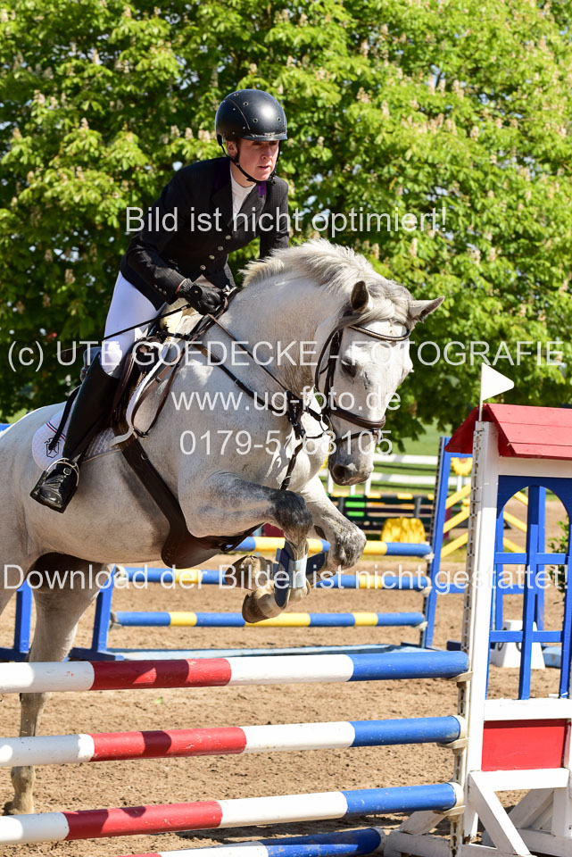 260520---Springpferde-A--_024.jpg