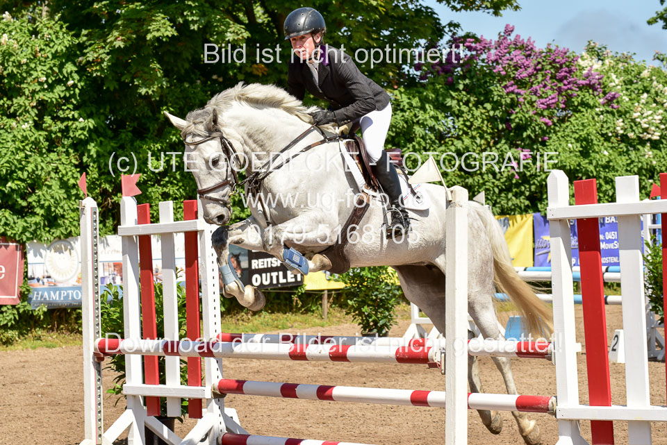 260520---Springpferde-A--_026.jpg