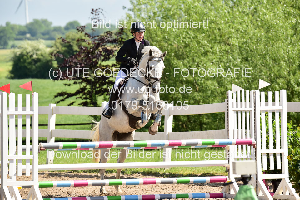 260520---Springpferde-A--_027.jpg